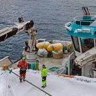 Arbeitseinsatz im Hafen von HAVOYSUND (Finnmark/NOR)