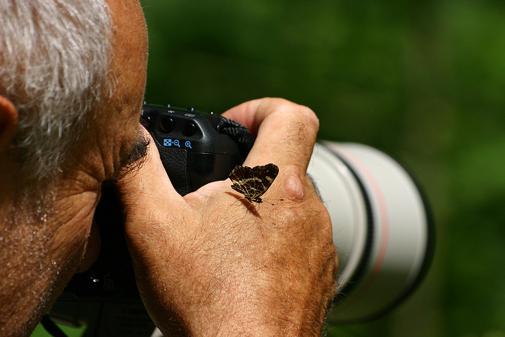 Arbeitsfoto