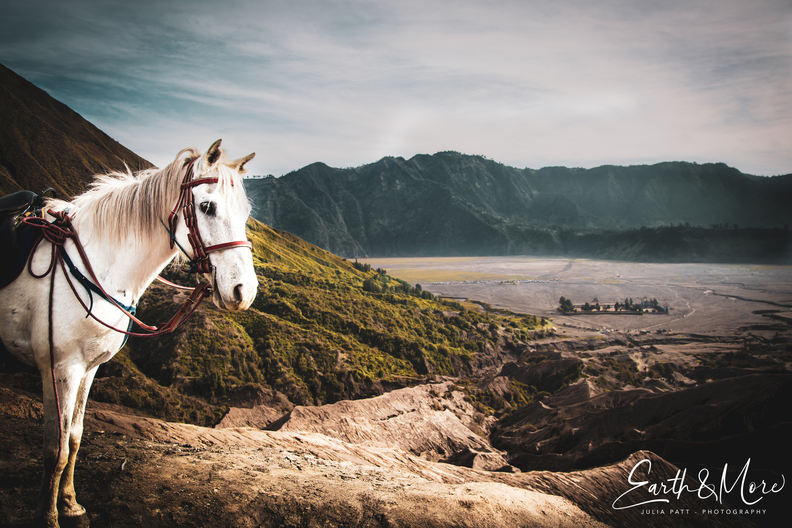 Arbeitspferd auf Mt. Bromo #2