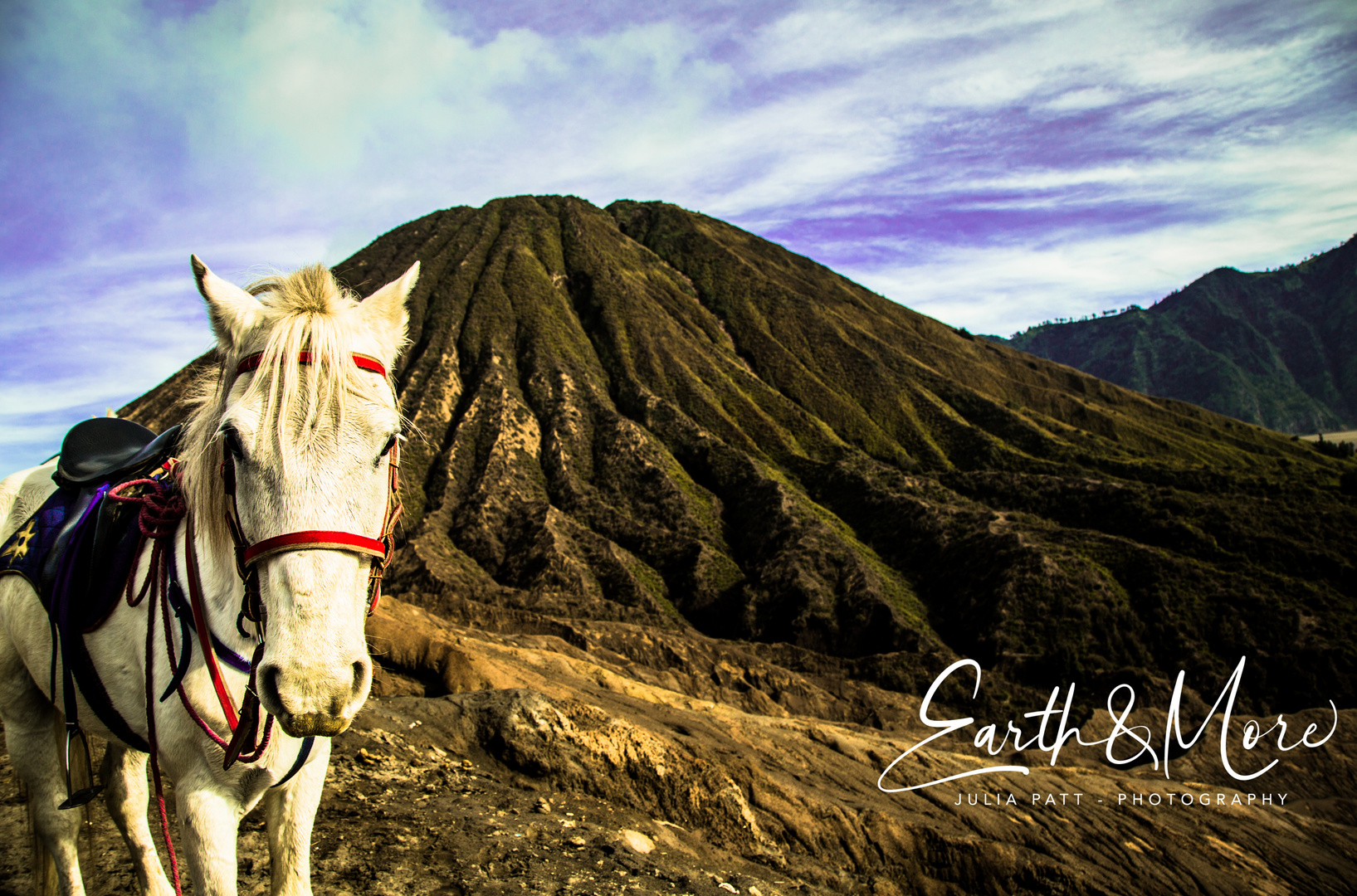 Arbeitspferd auf Mt. Bromo, Indonesien