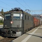 Arbeitspferd der SBB Ae 6/6 11495.