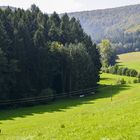 "Arbeitsplatz im Schwarzwald"