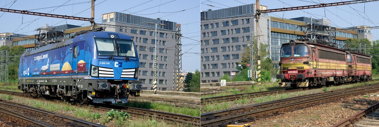 arbeitstier braucht nur saubere fenster