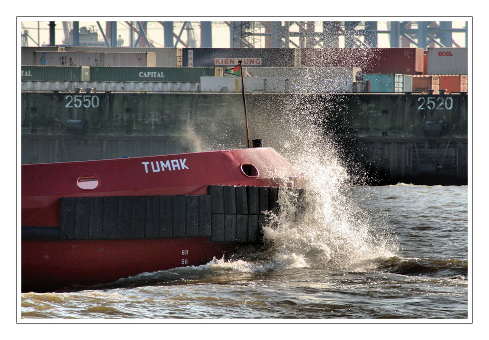 Arbeitstier im Hafen