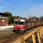 Arbeitstiere des polnischen Regionalverkehrs