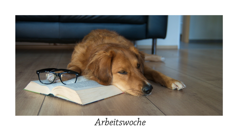 Arbeitswoche