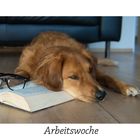 Arbeitswoche