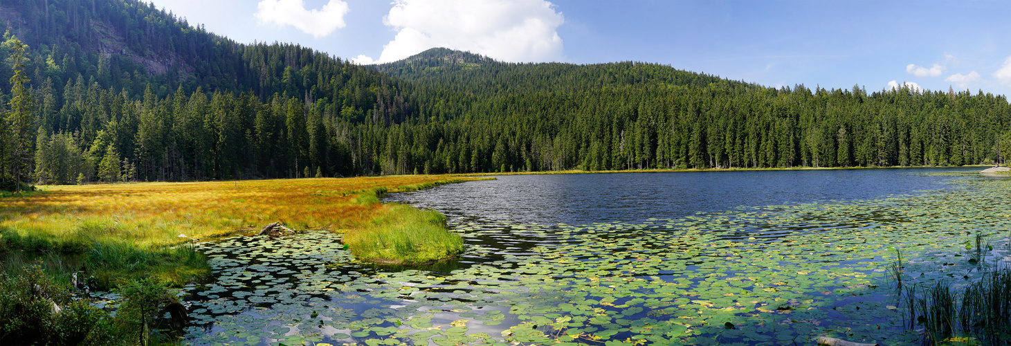 Arber-See-Panorama