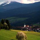 Arberblick im Frühling