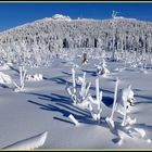 Arbergipfel im Winter