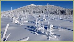 Arbergipfel im Winter