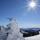 Arbermandl im Sonnenschein