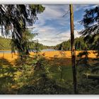 Arbersee - 3