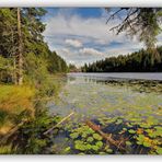 Arbersee - 4