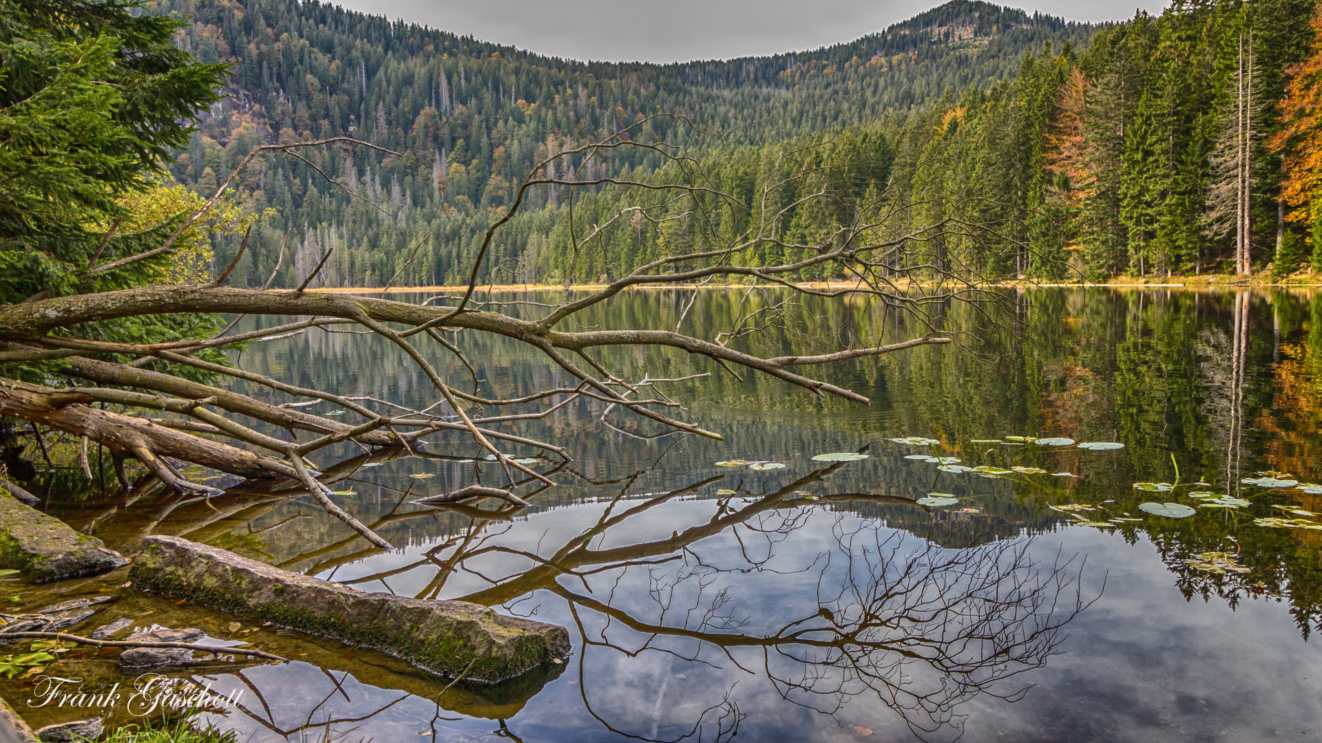 Arbersee