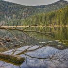 Arbersee