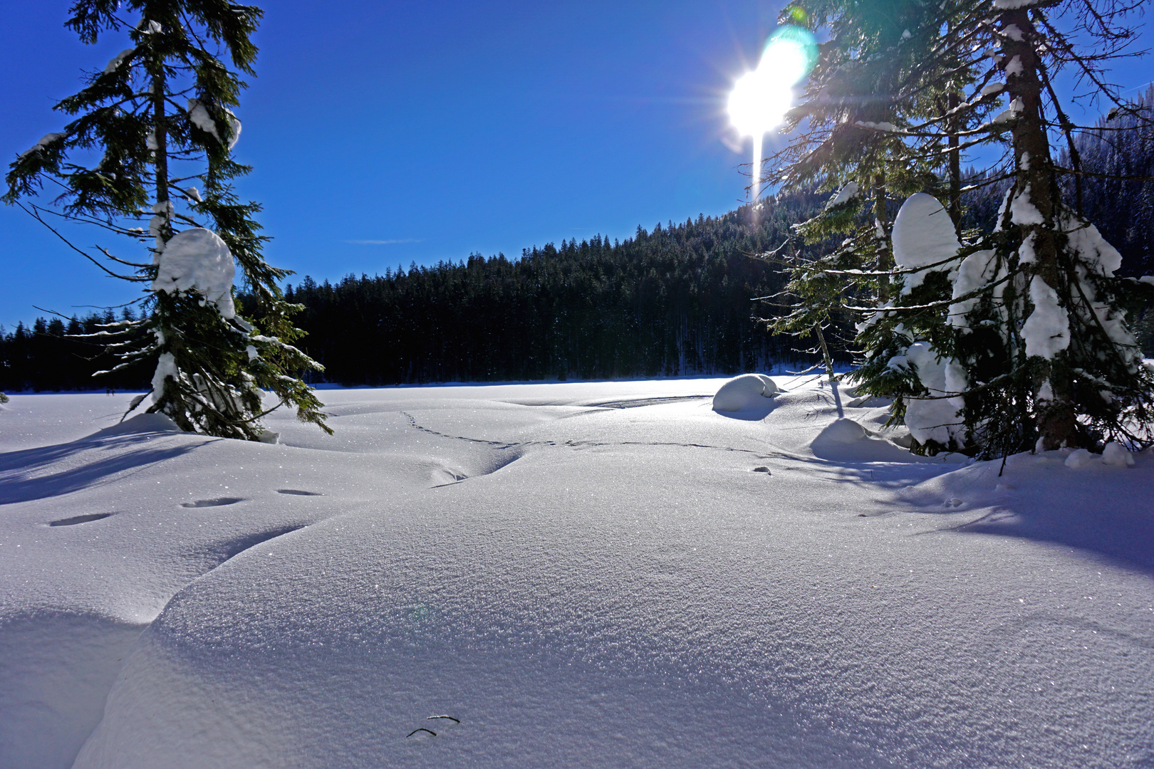 Arbersee