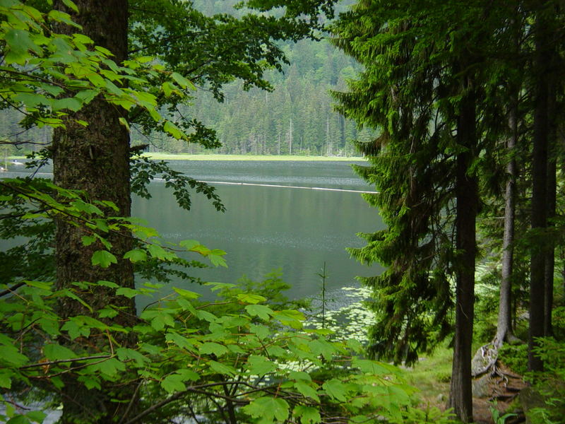 Arbersee, Bayerischer Wald