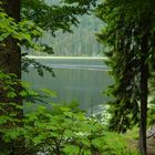 Arbersee, Bayerischer Wald