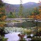 Arbersee