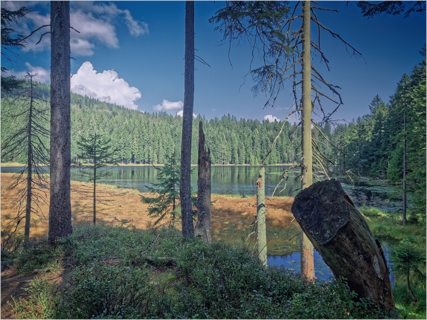 Arbersee Foto & Bild deutschland, europe, bayern Bilder auf