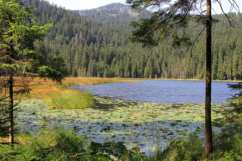 Arbersee letzte Woche