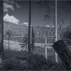 Arbersee, monochrom