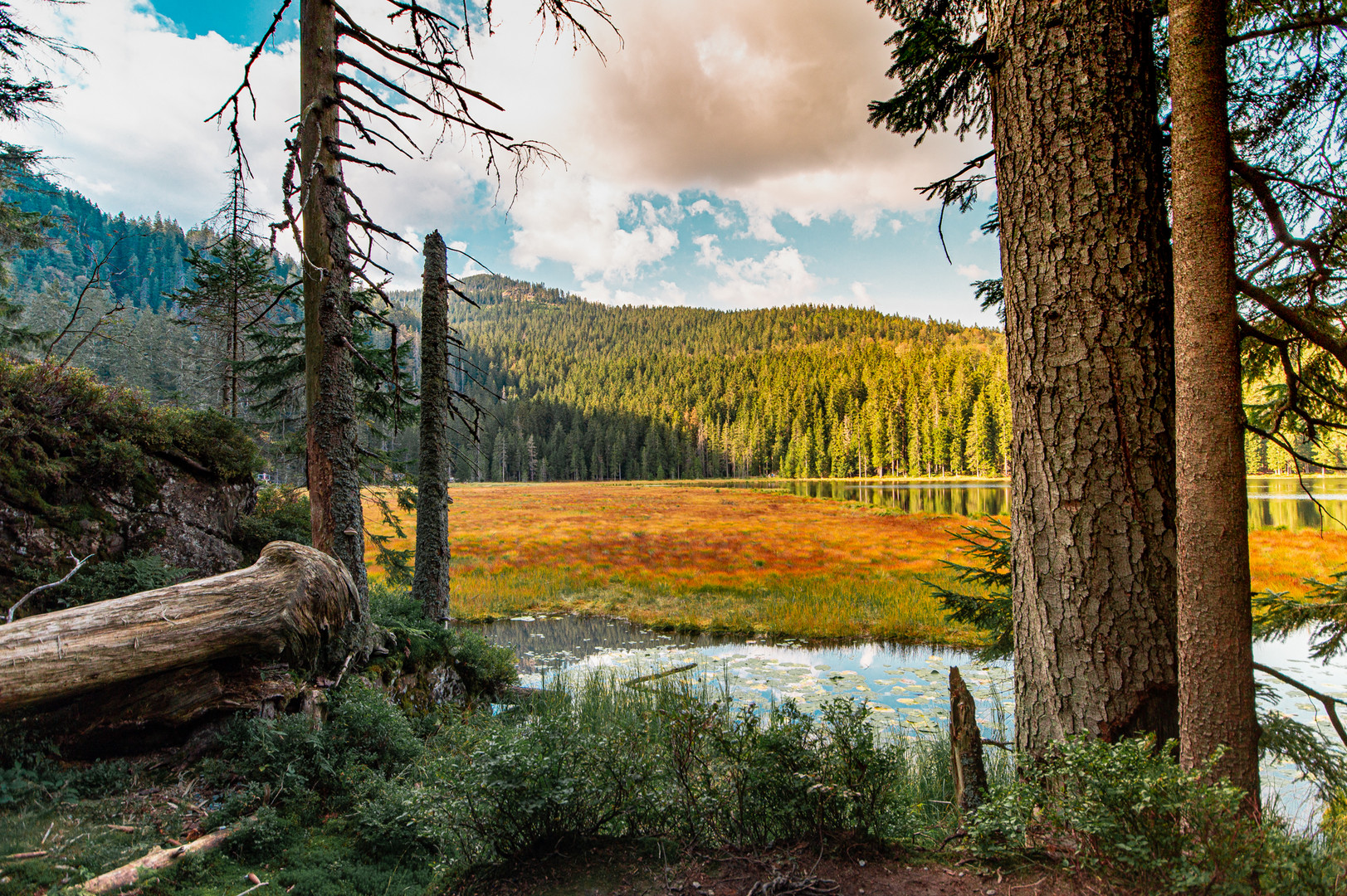 Arbersee und Großer Arber