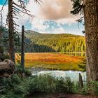 Arbersee und Großer Arber