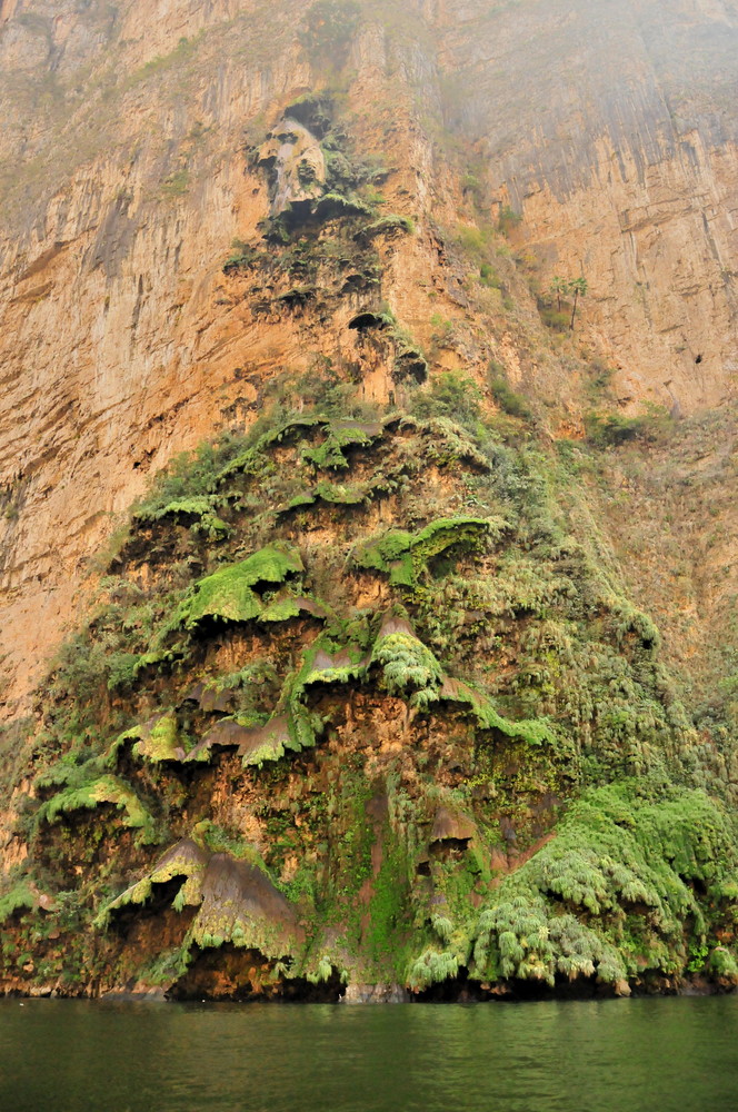 Arbol de Navidad im Cañón del Sumidero