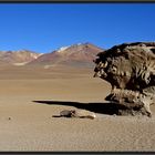 Arbol de Piedra