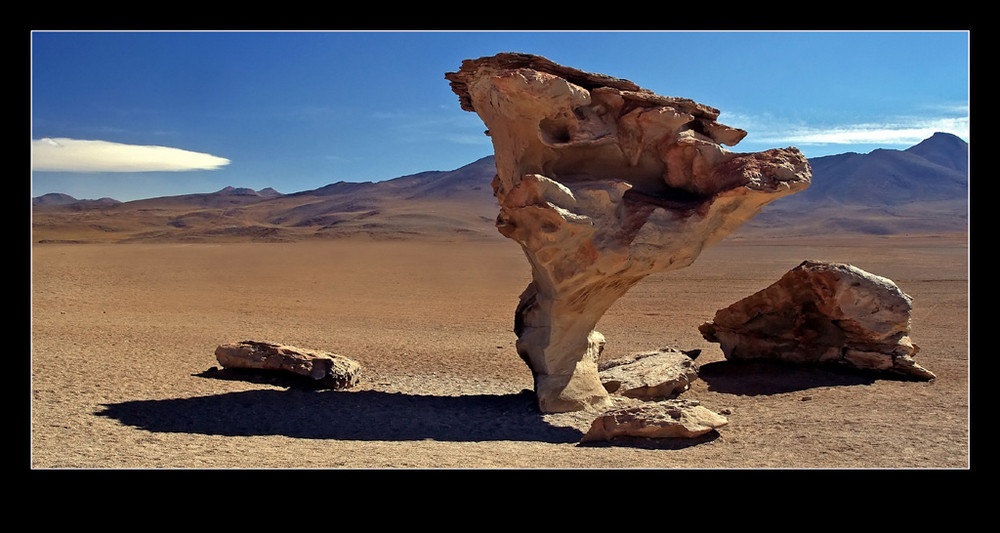 Arbol de Piedra