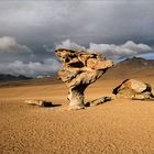 Arbol de Piedra - Bolivien 2001