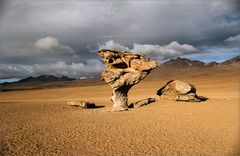 Arbol de Piedra - Bolivien 2001