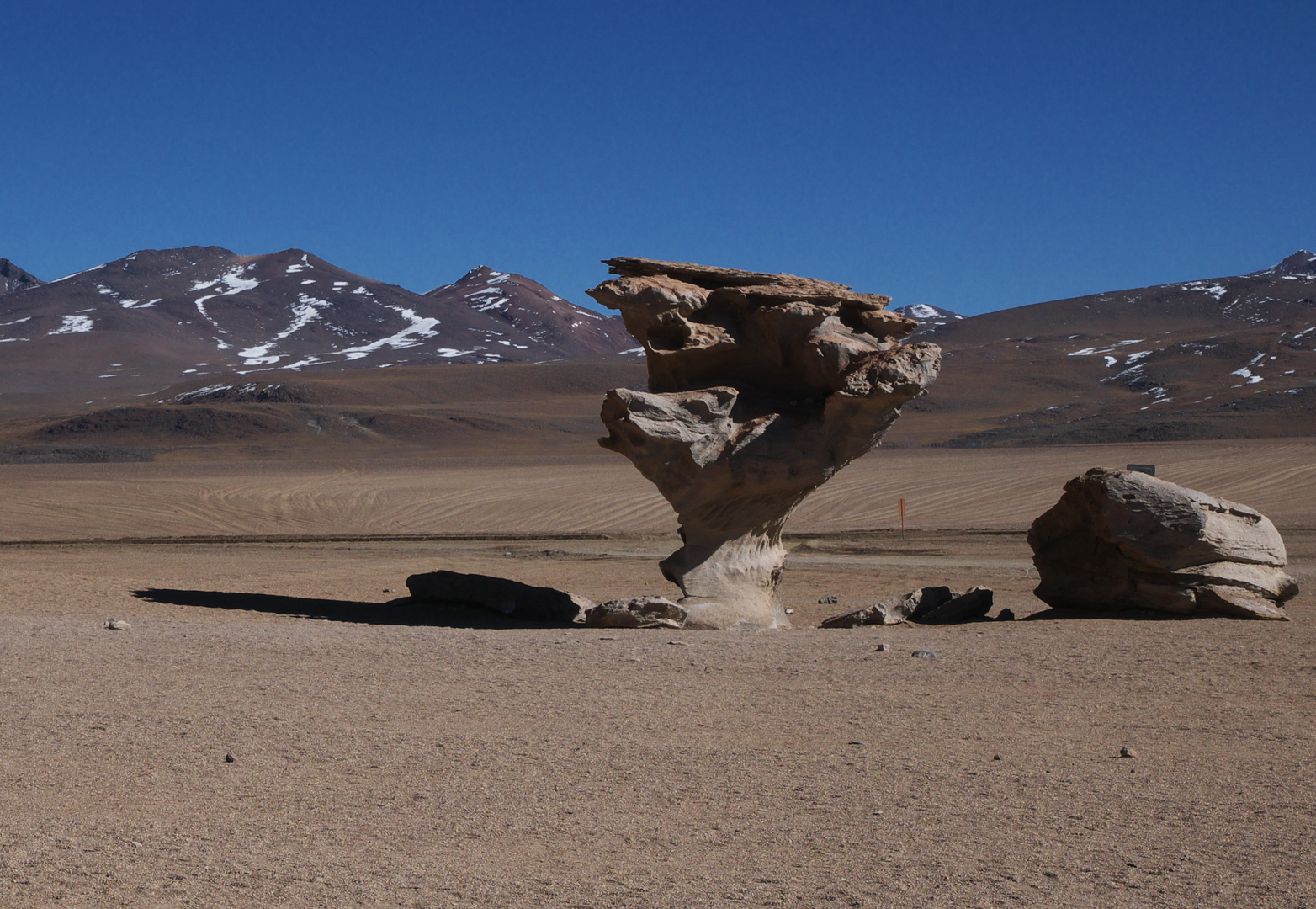 Arbol de Piedra - Bolivien