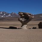 Arbol de Piedra - Bolivien