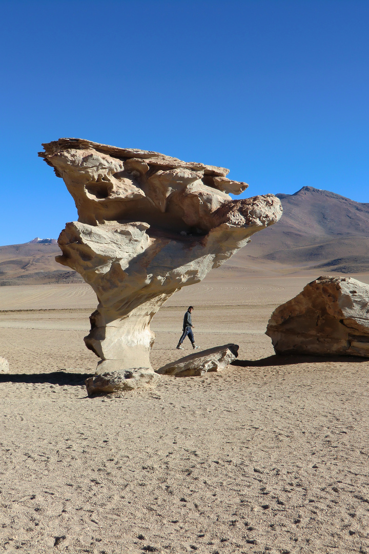 Arbol de piedra