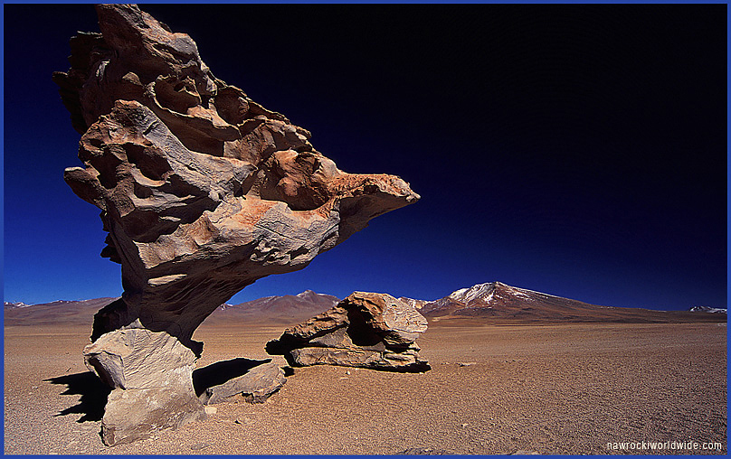 Arbol de Piedra