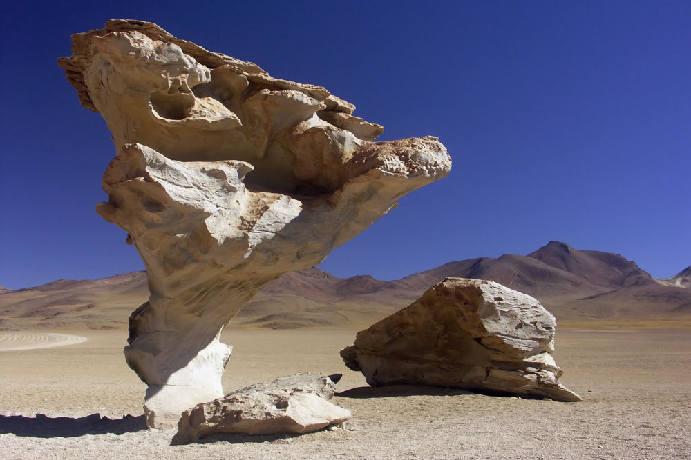 Arbol de piedra