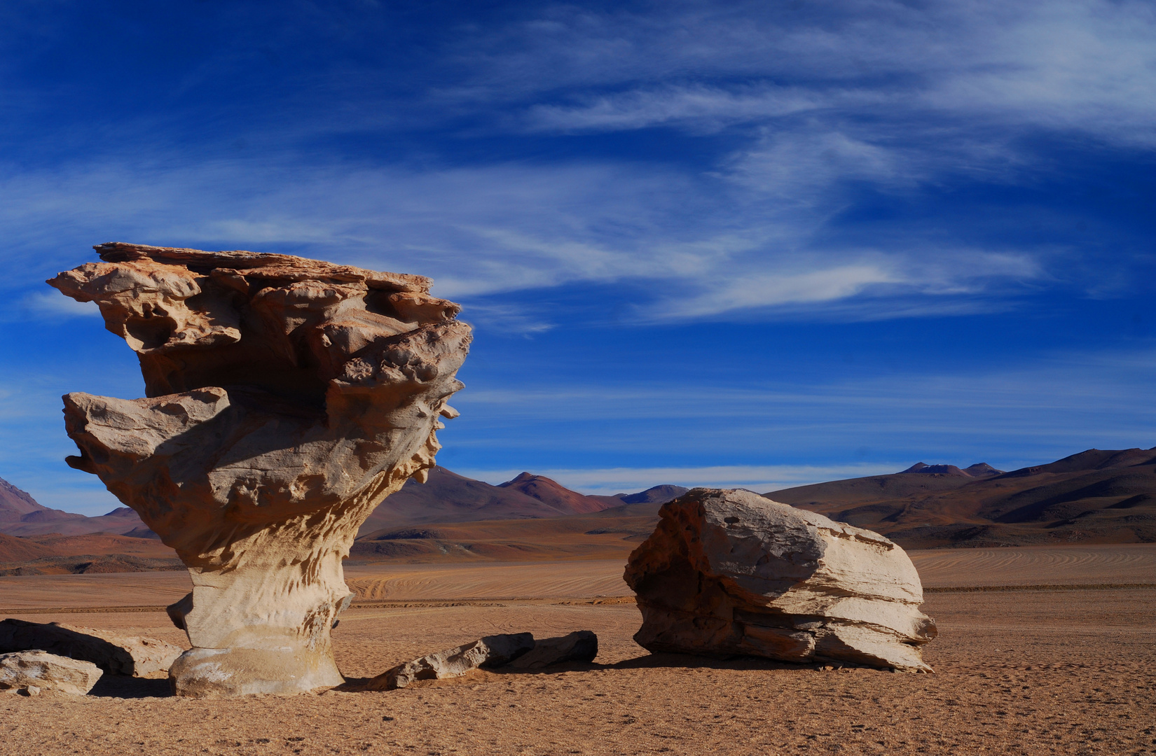 Arbol de Piedras