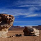 Arbol de Piedras