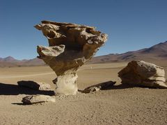 arbol del piedra - der Steinerne Baum