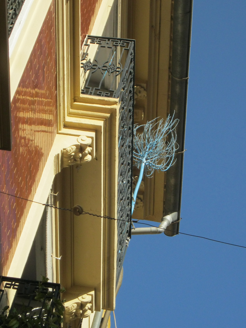 Arbol en terraza