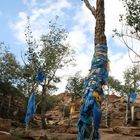 arbol sagrado en mongolia