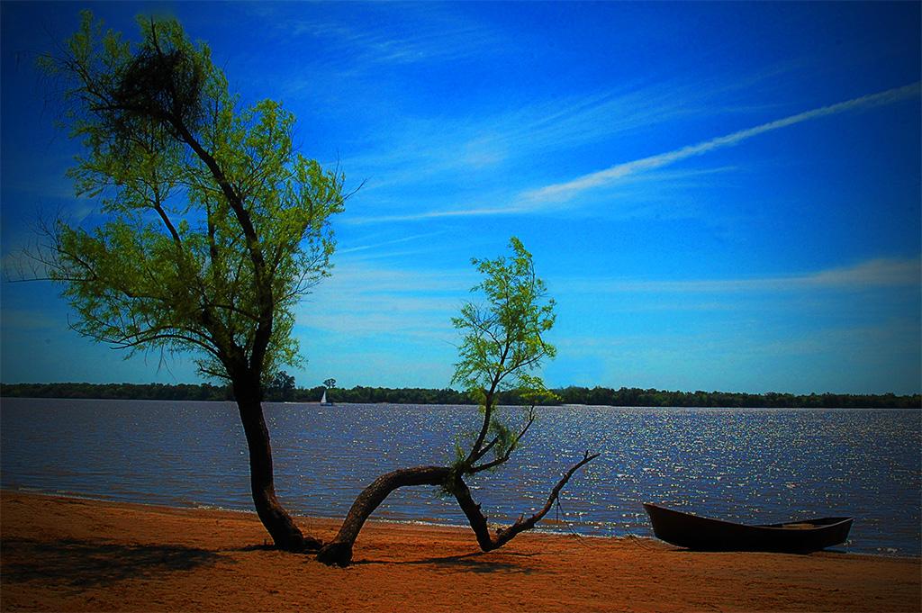 Arbol y bote