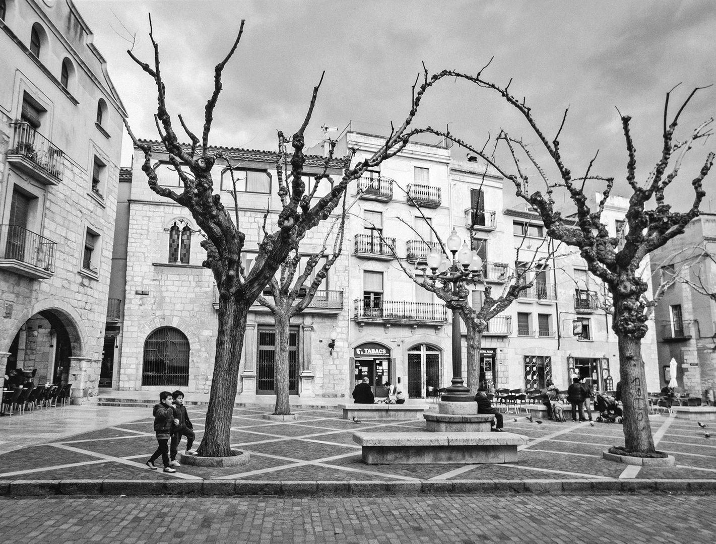 Arboles danzantes - Dancing trees