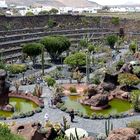 Arboles del desierto, Jardin de Cactus