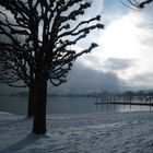 Arbon mit Schnee