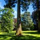 Mainau Insel