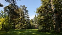 Arboretum auf der Insel Mainau